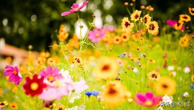 人生感悟最苦的句子,人生最苦的十年后的感悟