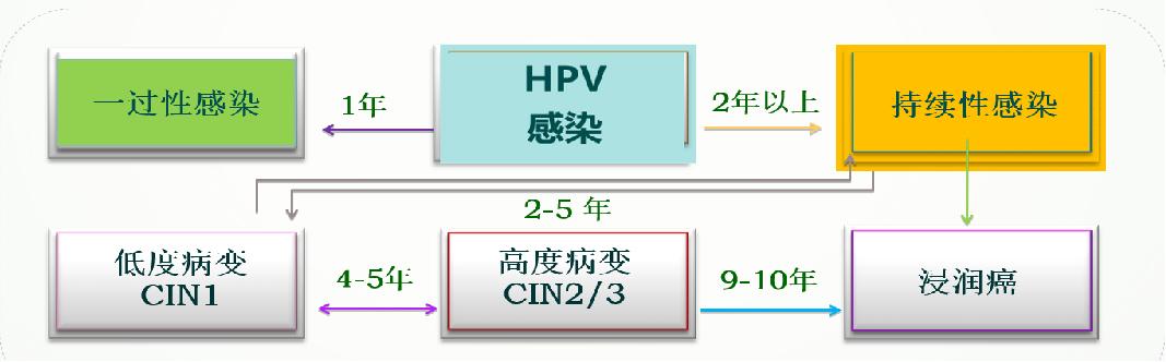 派特灵派特生物精选｜CIN的规范化诊治