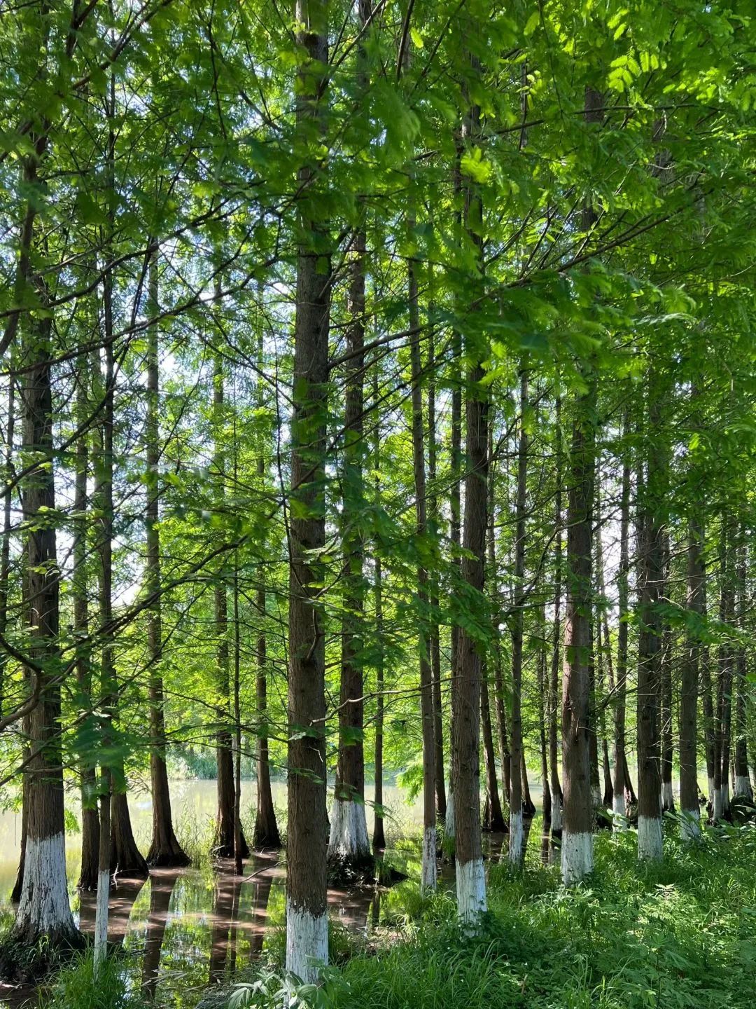 成都周边夏季周末好去处,端午成都周边游推荐