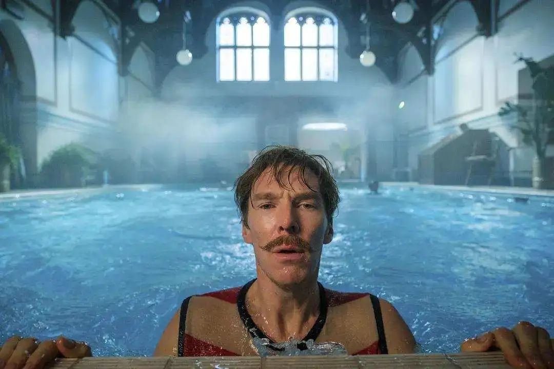 顶级猫奴！天才画家用余生为亡妻画猫，却被送进精神病院…