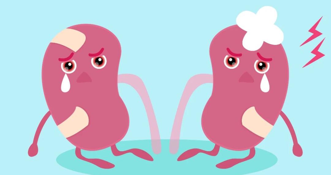 一招判断肾阴虚还是肾阳虚女性,怎么分辨肾阴虚还是肾阳虚