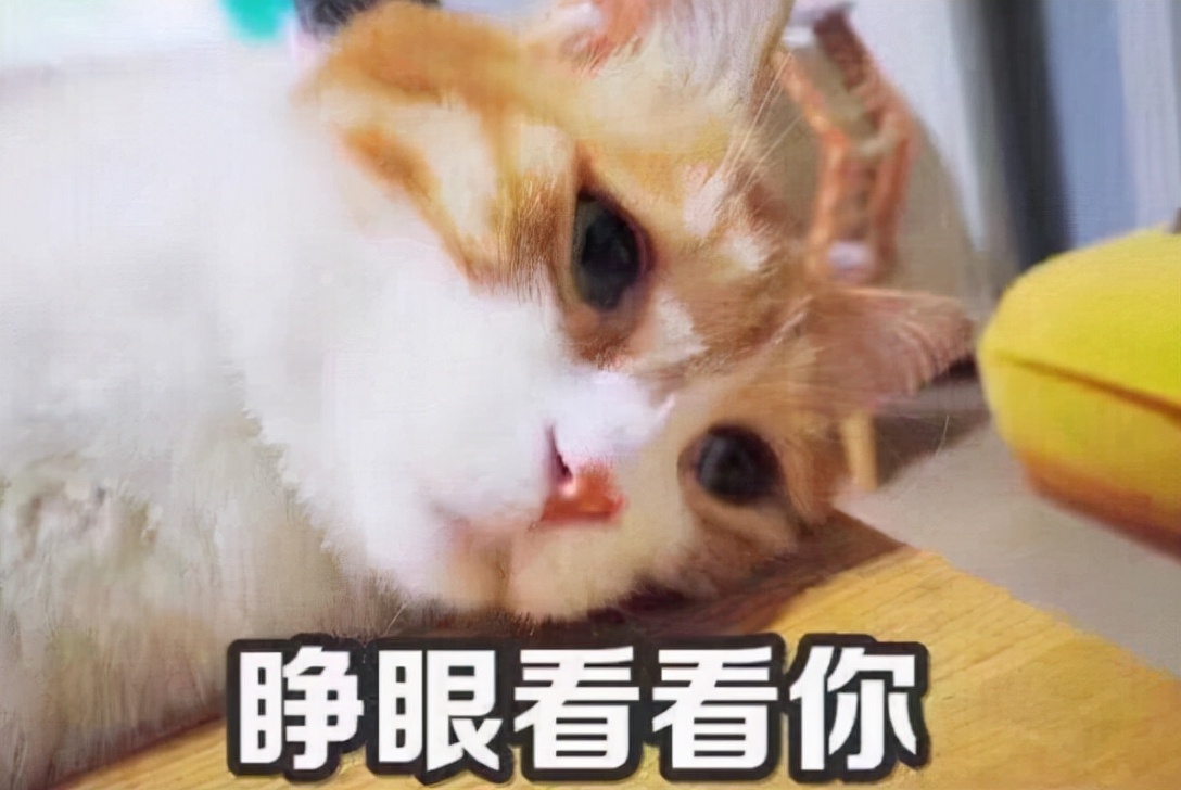 影视剧翻拍的各个版本对比,翻拍电视剧是成功还是翻车