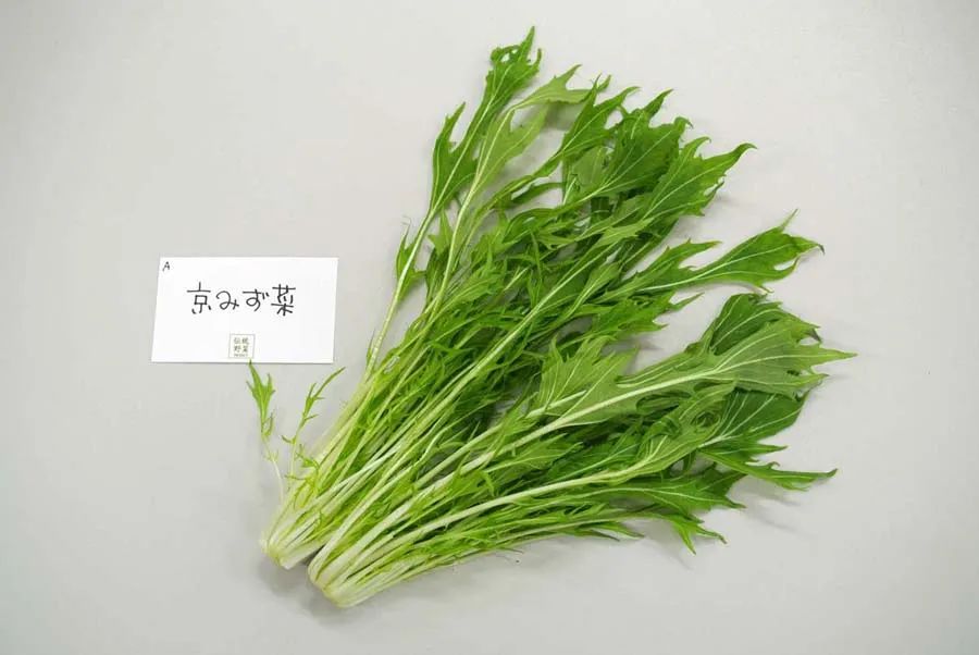 中国白菜种子,中国白菜最有名