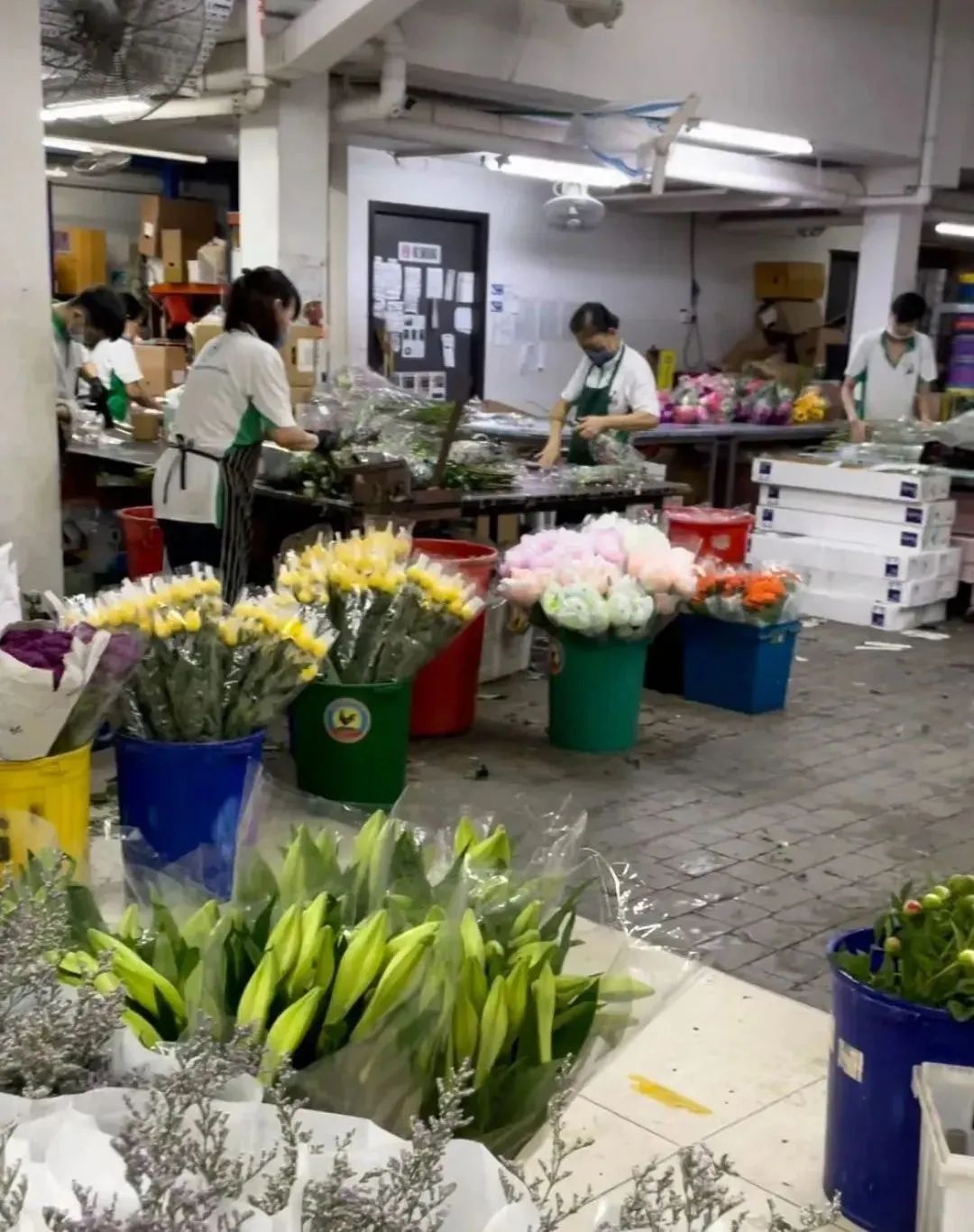 新手必看鲜花养护攻略,鲜花在水里能养几天会死