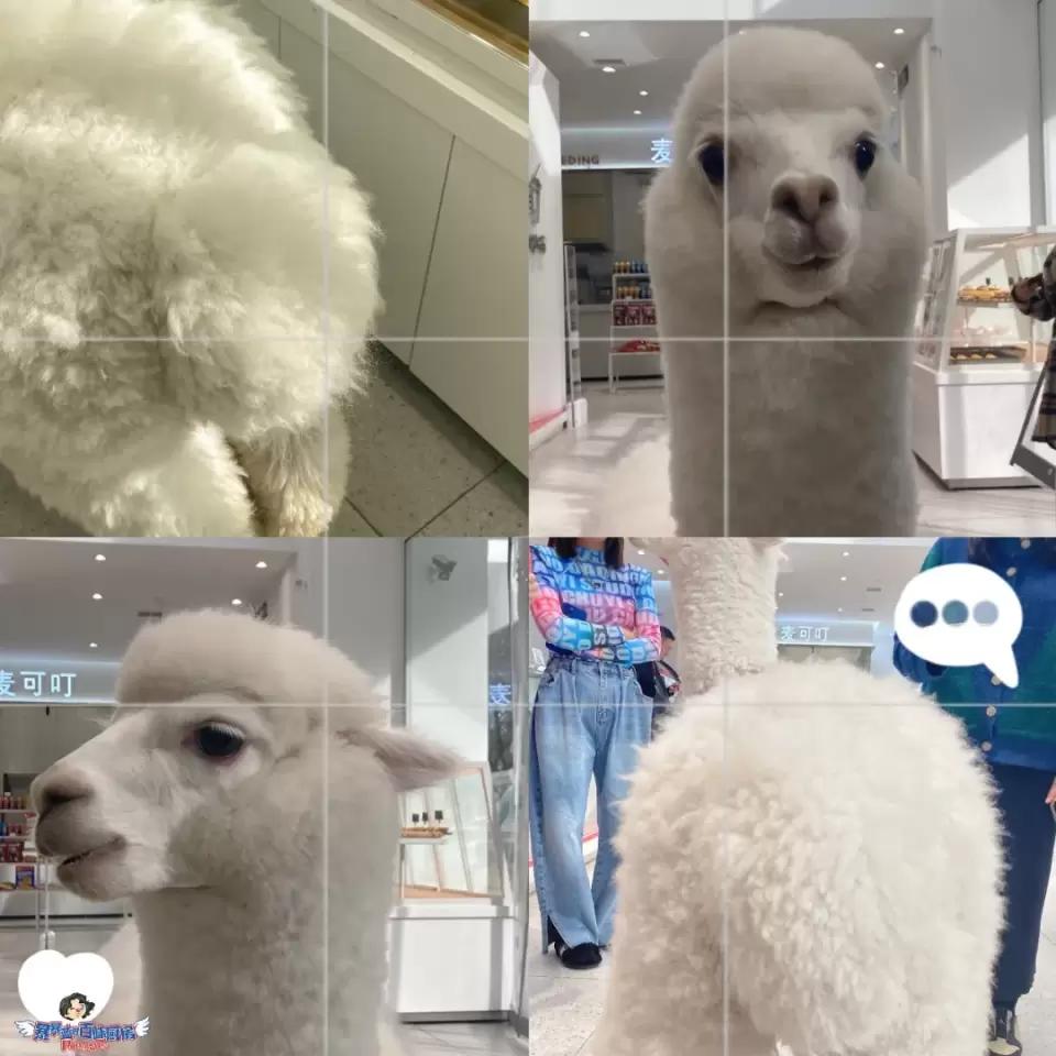 12月的第一天就等不及想炫耀这家女生天堂