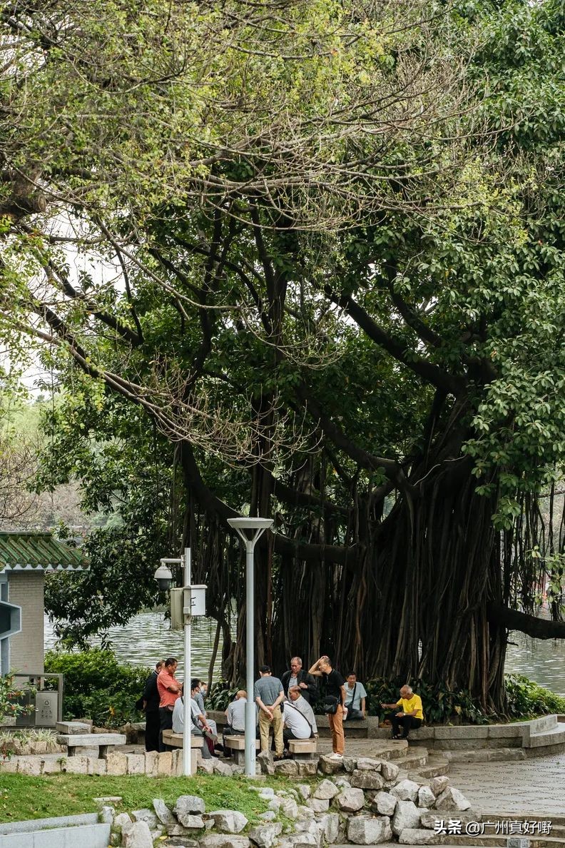 2019广州十大浪漫约会圣地,广州白云哪里适合情侣游玩