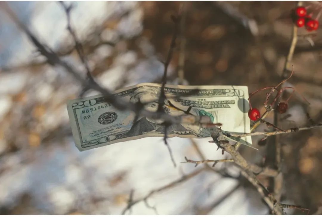 好冷啊!我有一些温暖的圣诞礼物故事，听一个就心软了…