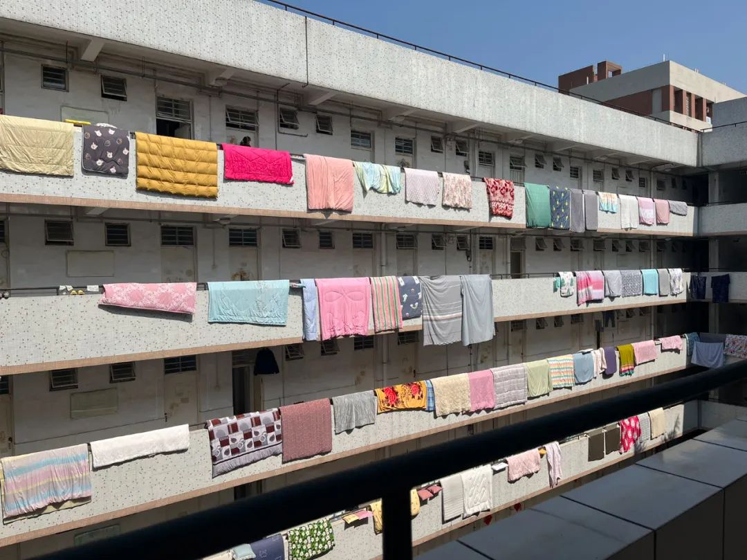 2月，终于可以尽情生活