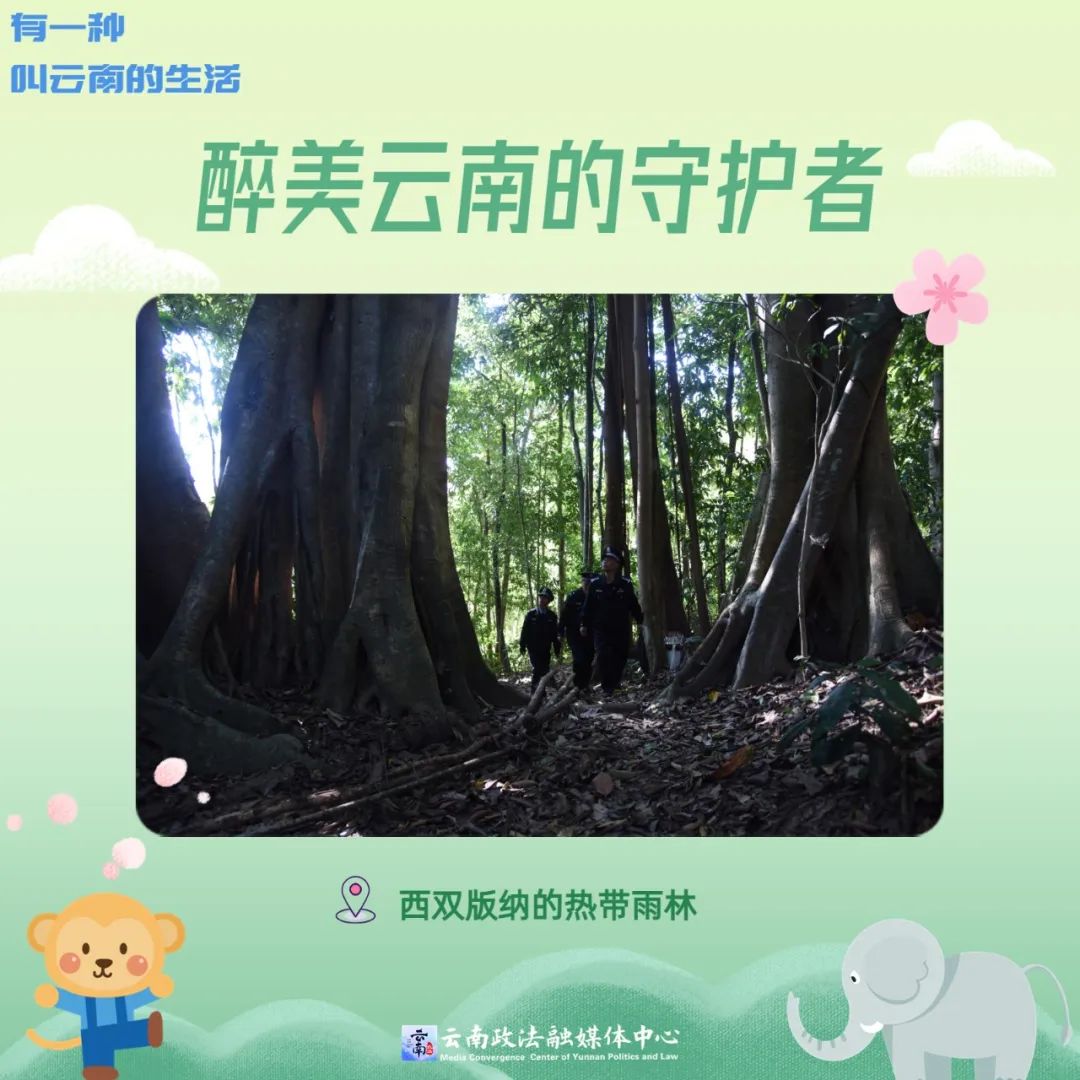 有一种叫云南的生活,有一种生活叫云南的生活