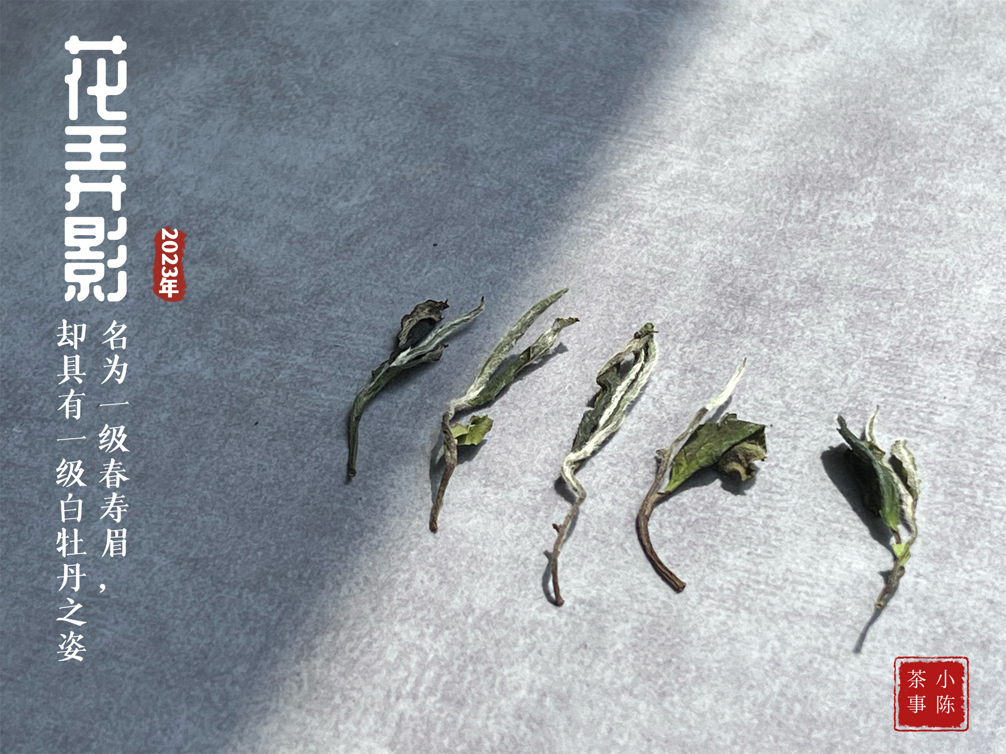 100克白茶400元,100元以内的白茶推荐