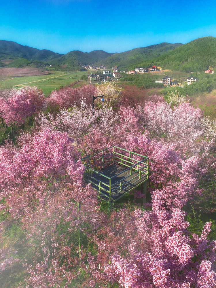 黑爵机械键盘ak992,黑爵机械键盘ak996