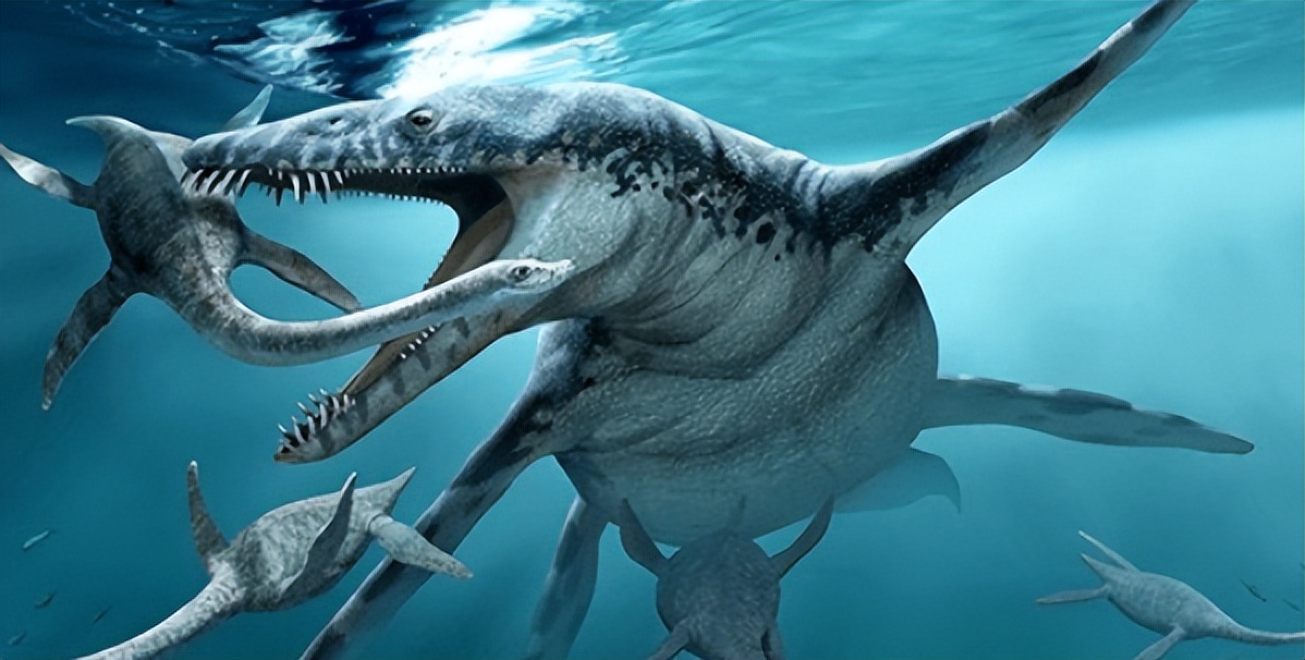 泰坦蟒是不是泰坦巨蛇,纪录片巨蛇之谜泰坦蟒