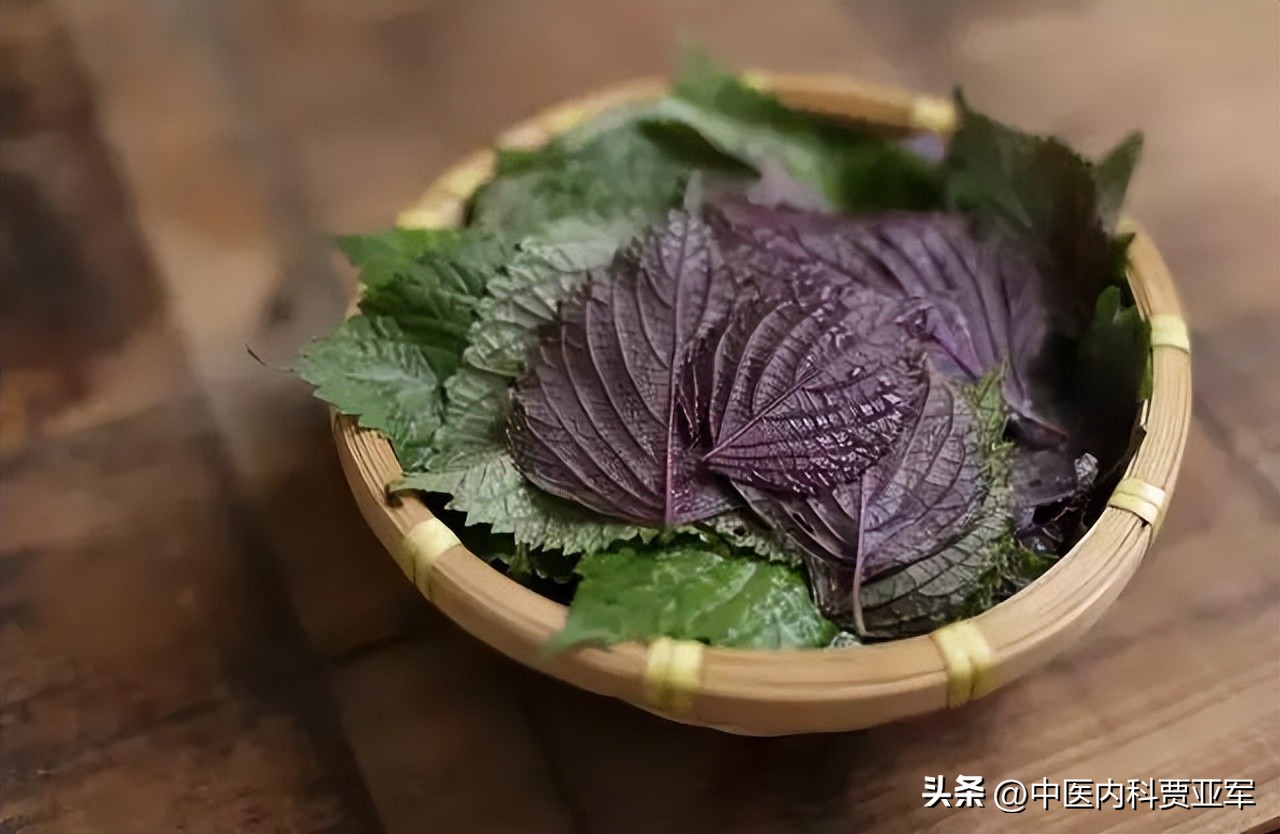 什么叶子可以养生清热去火,健脾祛湿最好的叶子