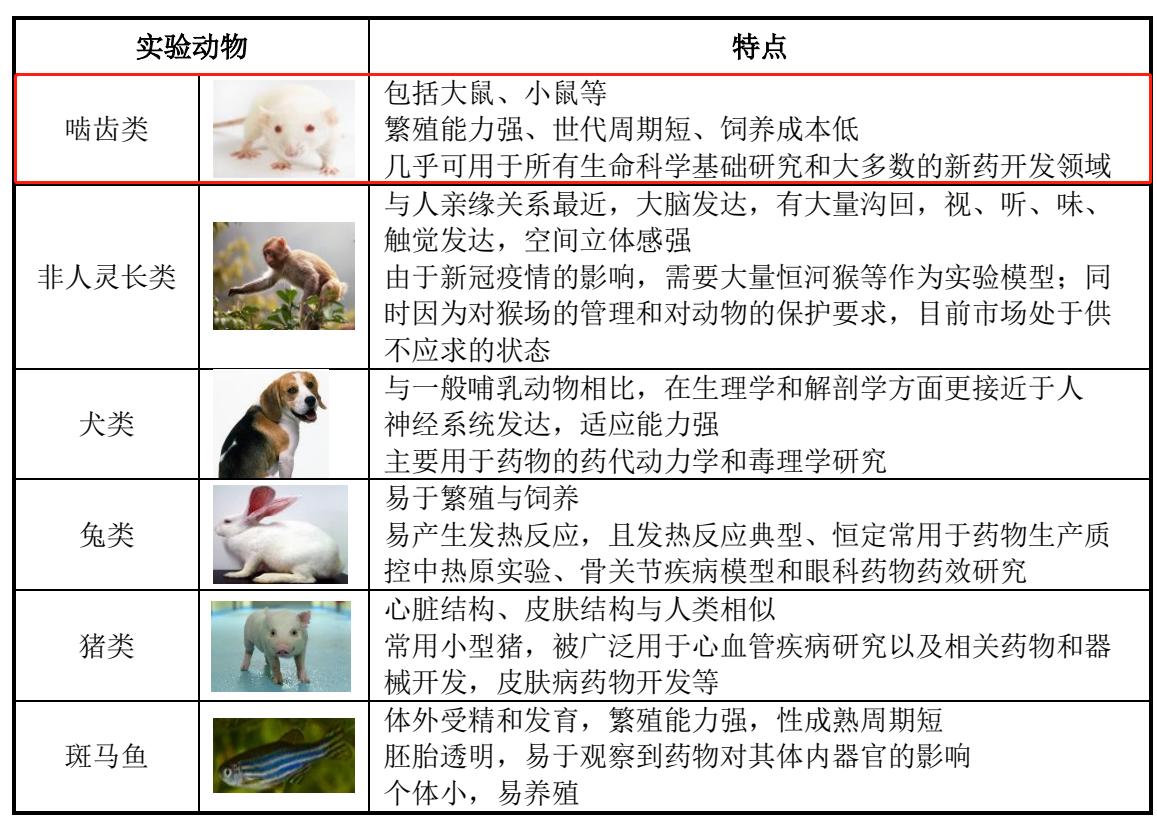 一只小白鼠多少块钱,一只小白鼠要多少钱
