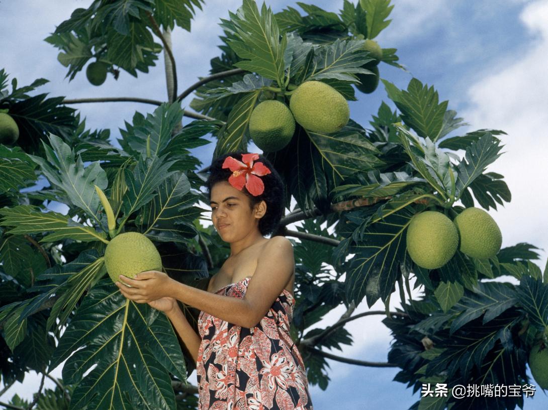 巴巴多斯中国人,巴巴多斯人在中国