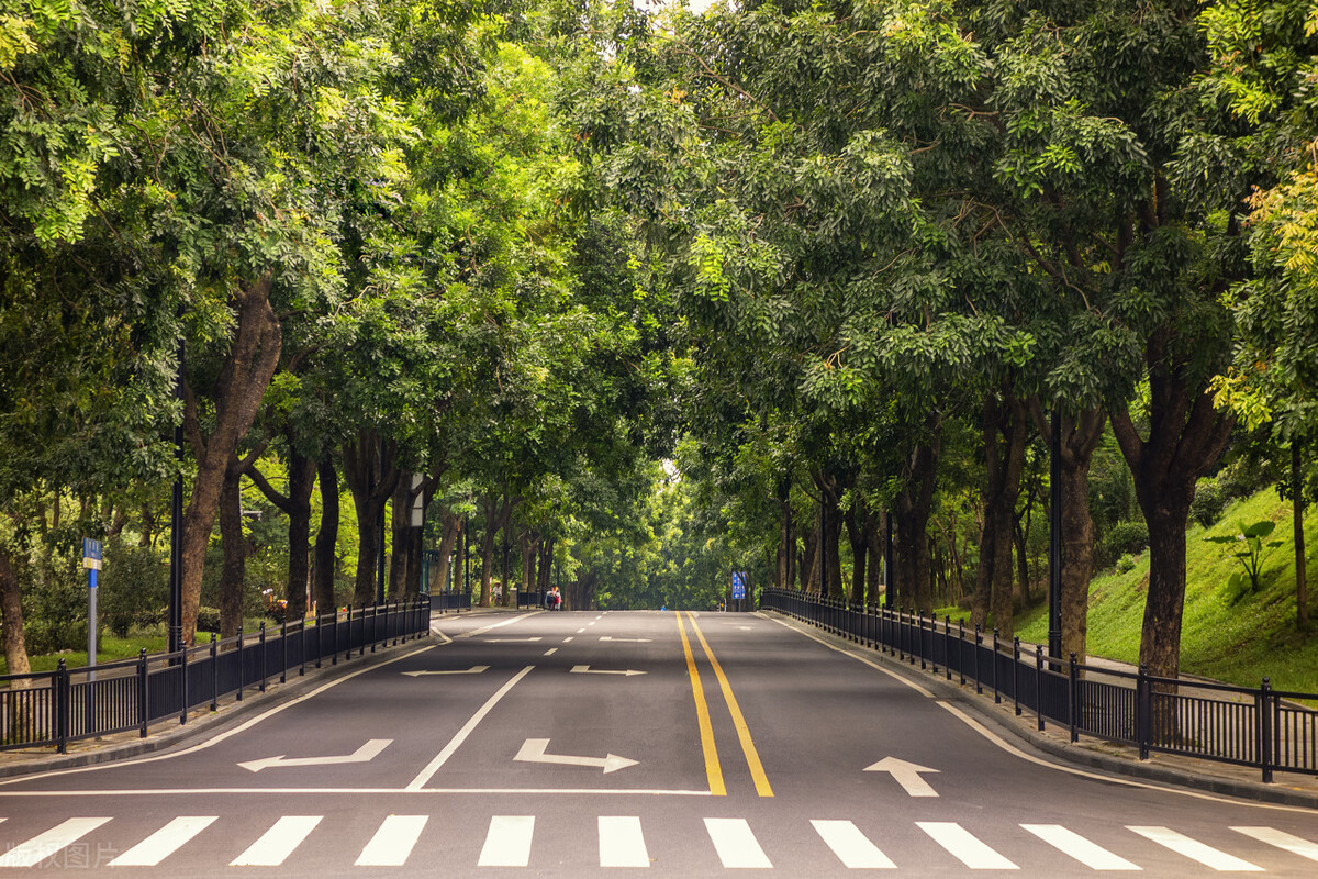 户外和跑步机跑步哪个消耗得多,跑步机跑步和户外跑哪个伤膝盖