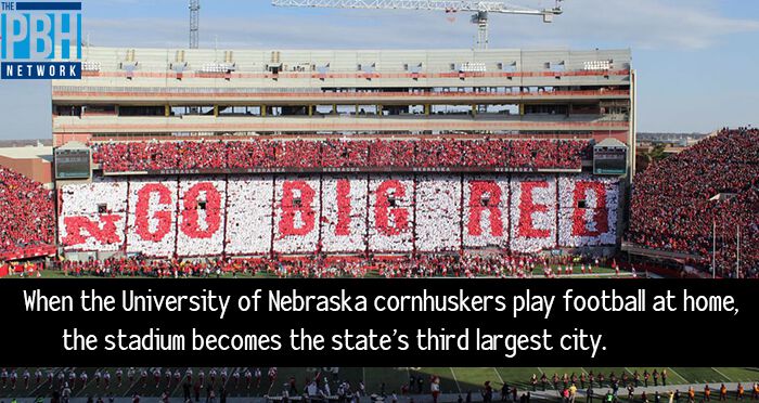 100件有趣的事,100个有趣的生活小事