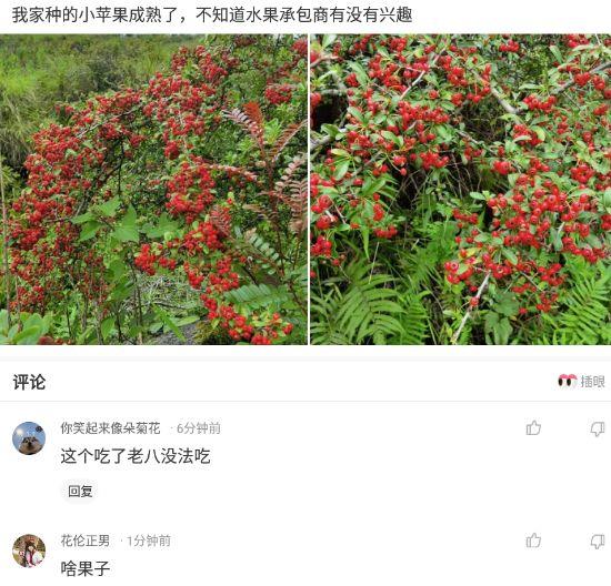 神回复:为什么近视的人睡觉不戴眼镜,那他们晚上做梦能看得清吗