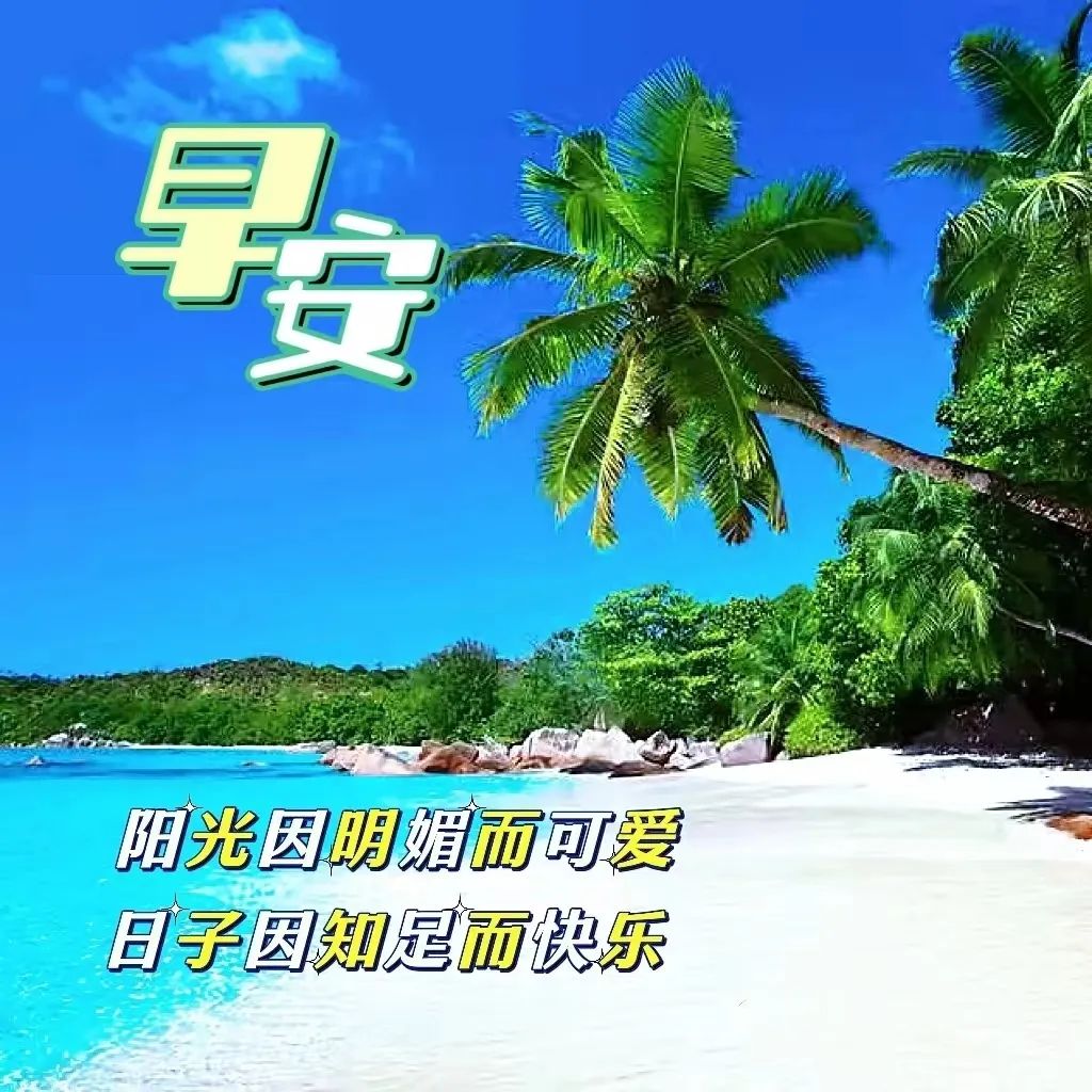 九月早上祝福,九月九早上好的祝福视频