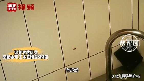 被老鼠咬过的土豆还可以吃吗,被老鼠咬过的土豆怎么处理