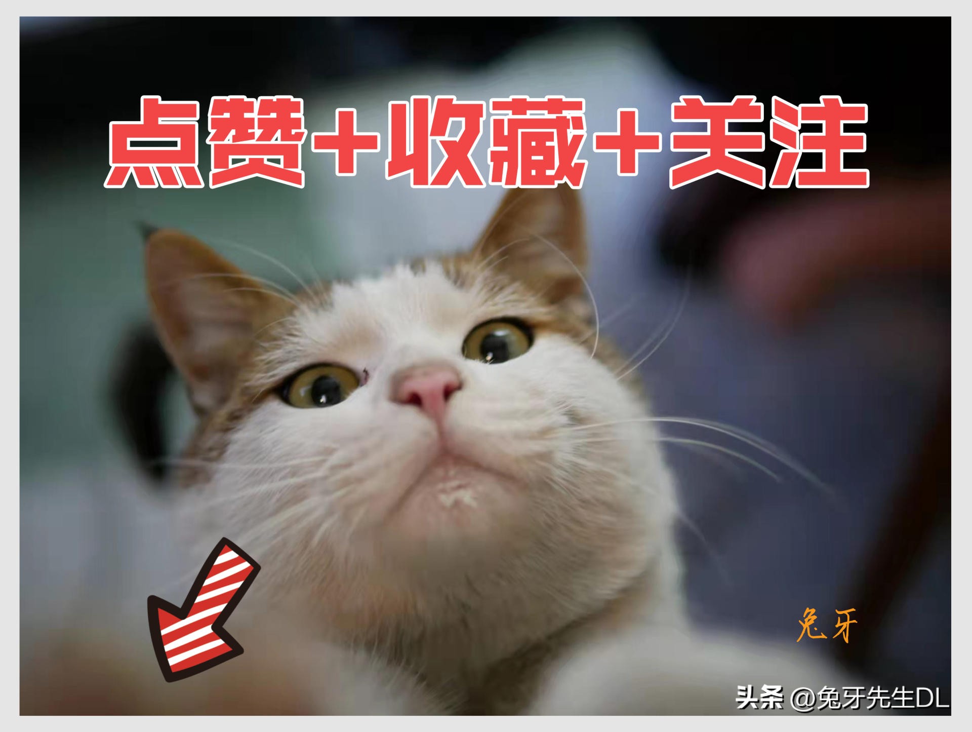 东芝电饭煲rc-10,东芝RC-10LTC电饭煲