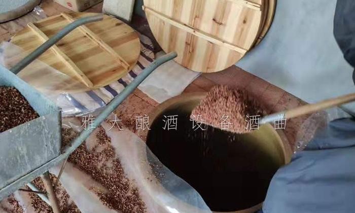 固态酿酒窖池升温多少,发酵酒窖泥池是怎么建造的