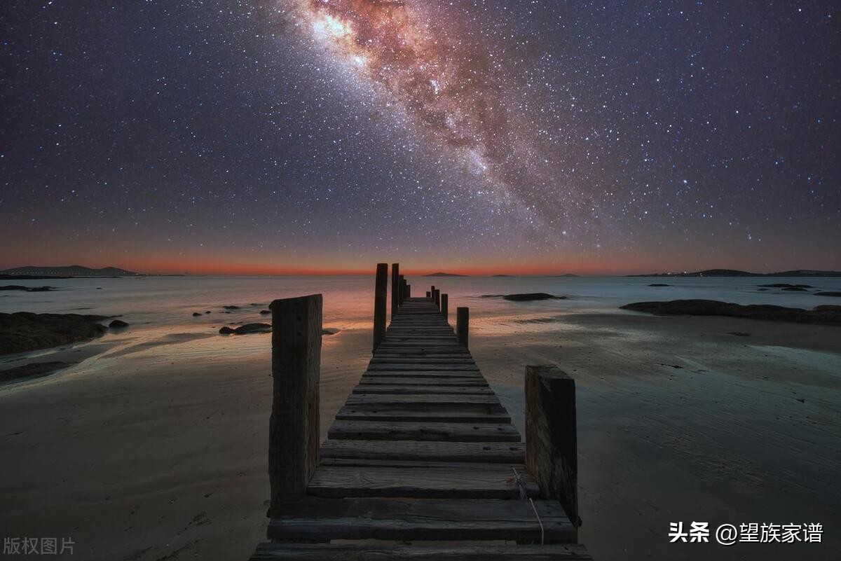 青岛家谱大全,寻根31集免费观看