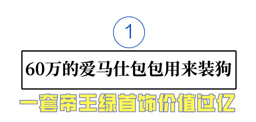 霍思燕豪门捞金,霍思燕富婆
