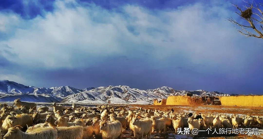 亚洲旅游胜地甘肃,甘肃被评为亚洲最佳旅游地之首