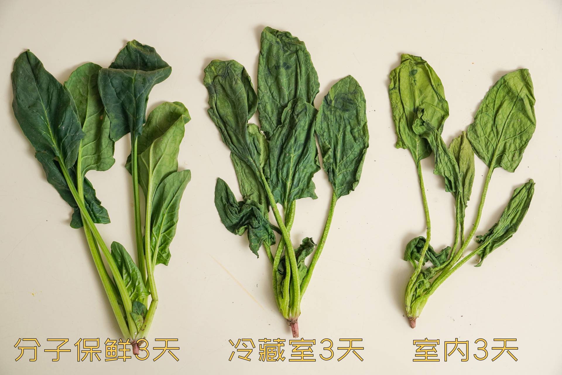 tcl格物冰箱q10评测,tcl格物q10拆解