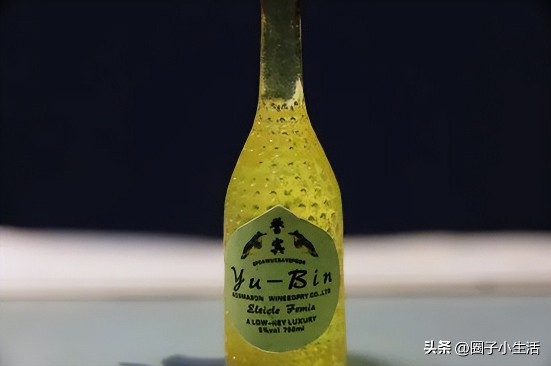 肯高增距镜质量咋样,肯高近摄接环