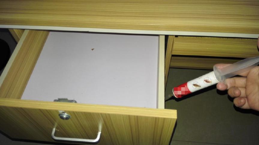 对付德国小蠊最有效的方法,土豆加硼酸能消灭德国小蠊吗