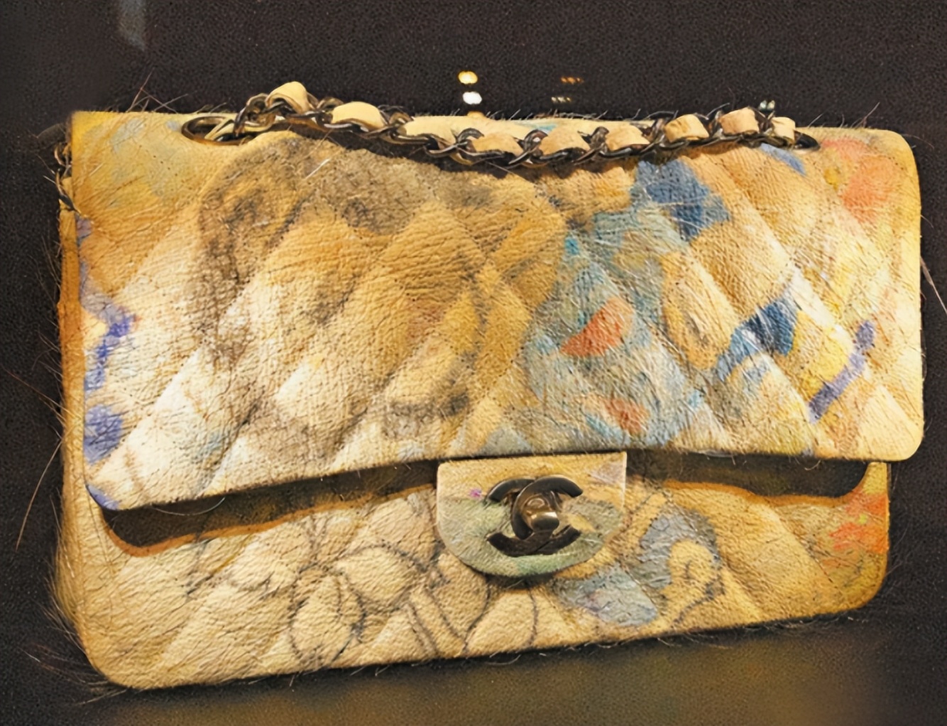 1997年,男子给活猪纹身,还把猪皮卖给了香奈儿,一张猪皮赚51万