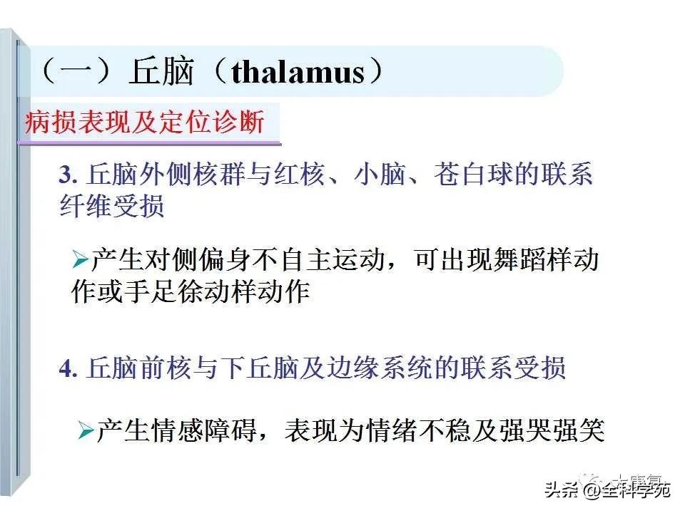 神经系统的影像与解剖定位,最全神经解剖图