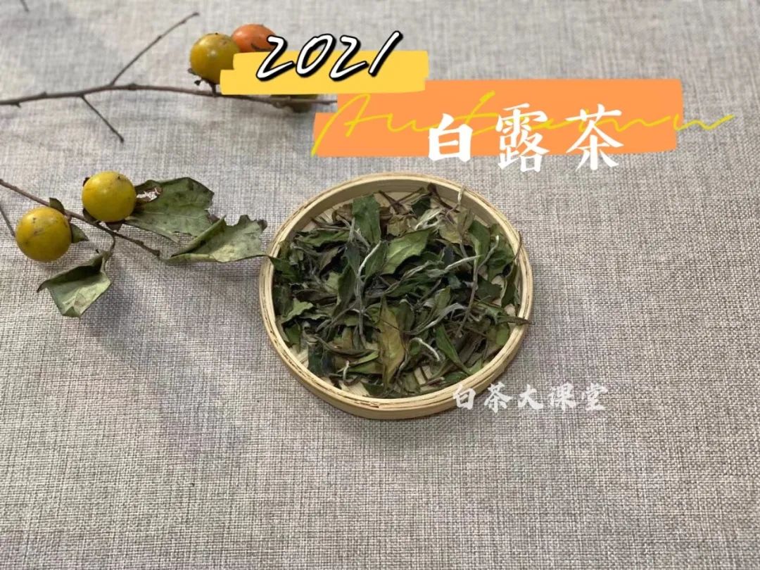 6大茶桌暗语介绍，何为回甘？何为醇厚？何为生津，一次说清