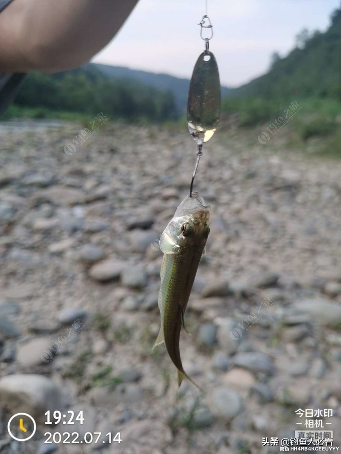 7鏈堥奔,7鏈堥奔浜у嵉