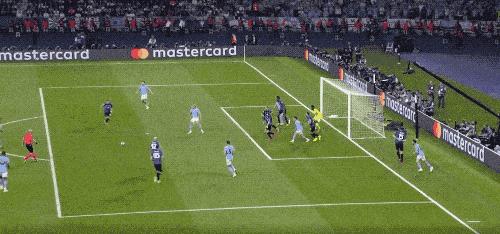 种子有多么关键,种子最重要的部分是哪里