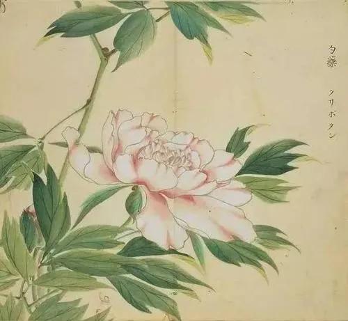 诗经陈风月出原文赏析,诗经陈风月出正确读音