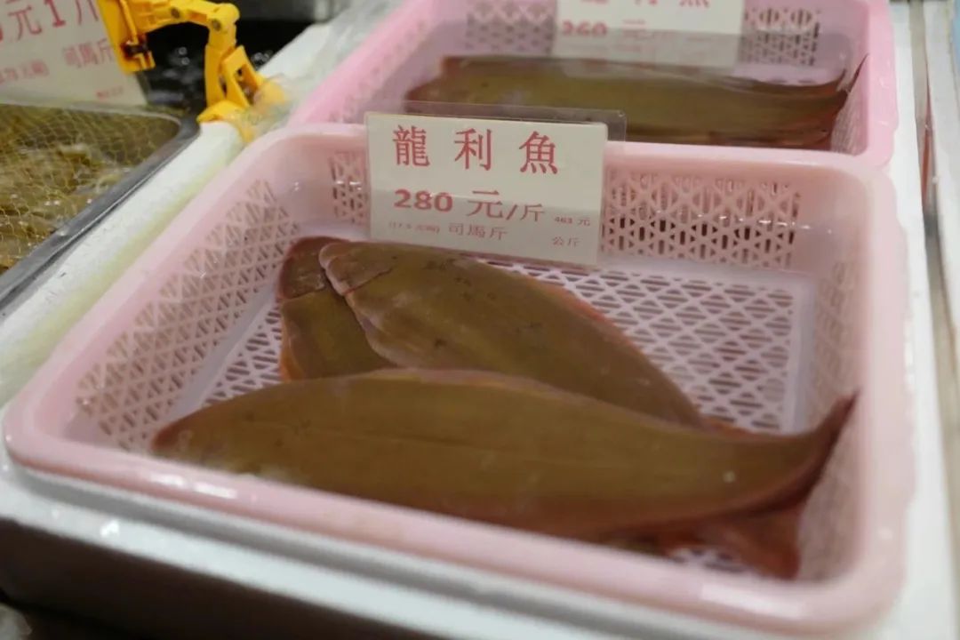 粤菜大师林振国牛腩煲,粤菜名厨林振国