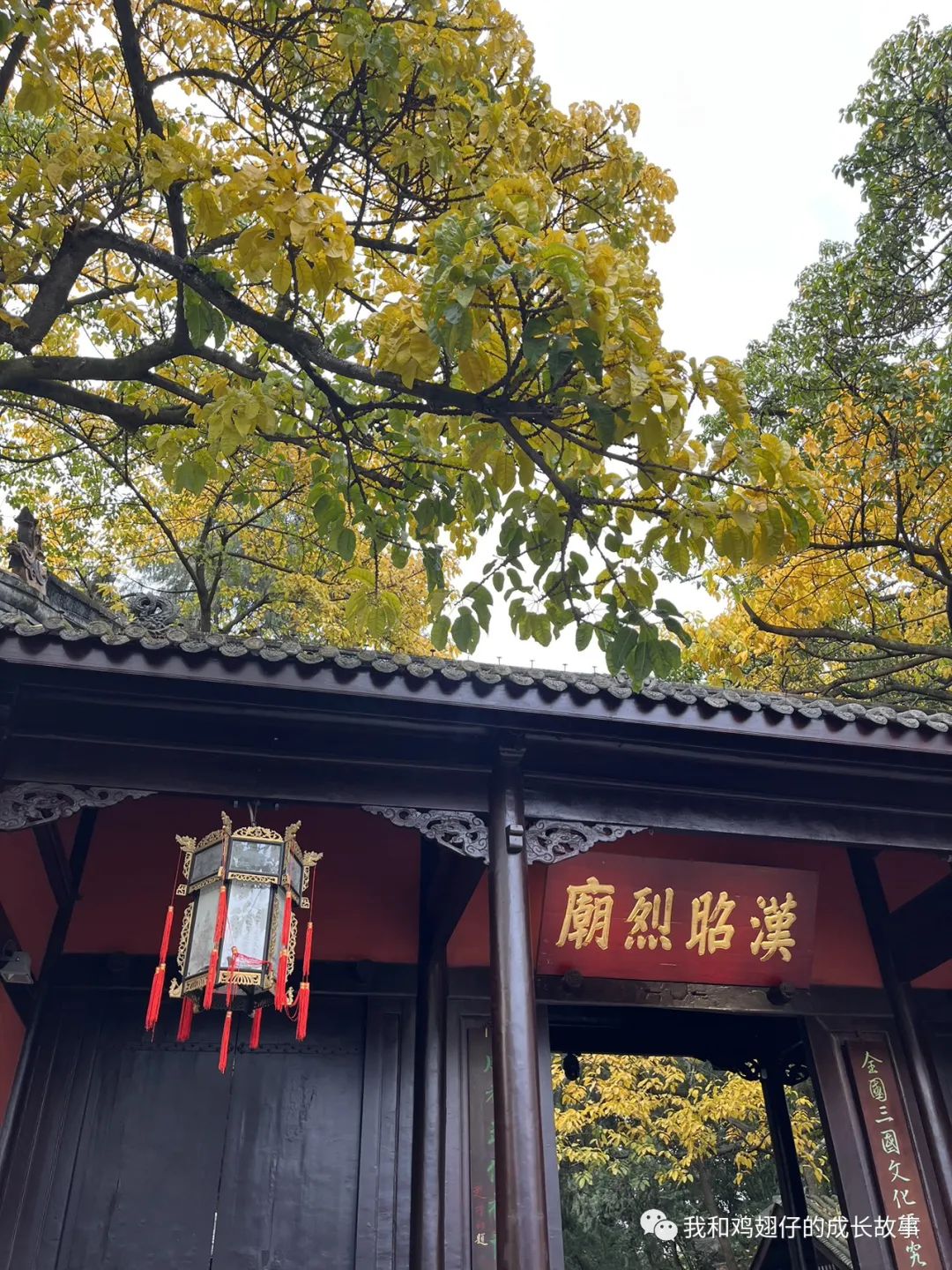 成都中和美食推荐排行榜前十名,成都建设路美食一条街详细地址