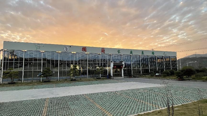 卖兰花一年收入,卖兰花卖得最好的一个月赚多少钱