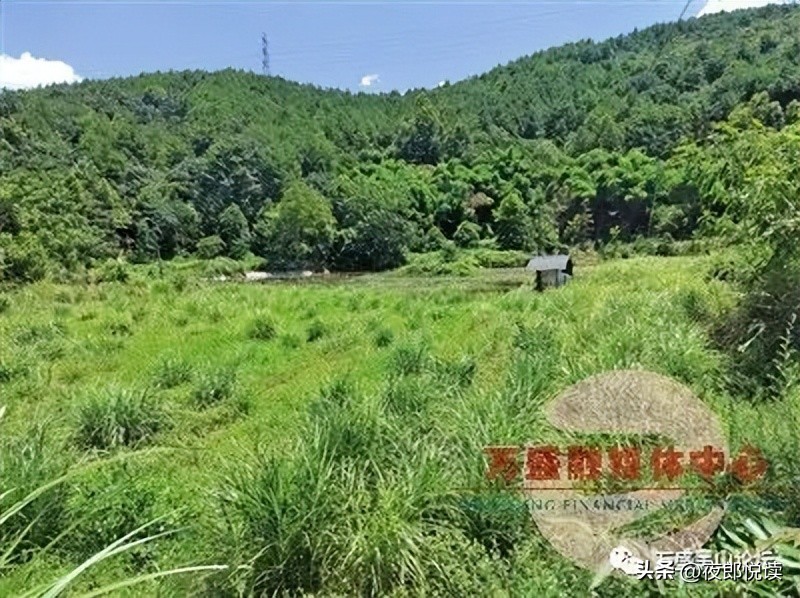 南桐有个“樱桃窝”