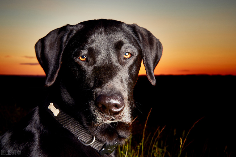 回话的技巧视频,回话的技巧