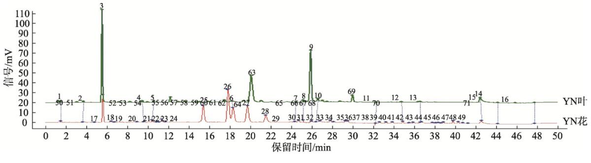 金花茶具有六大器官吗,金花茶属于什么属性