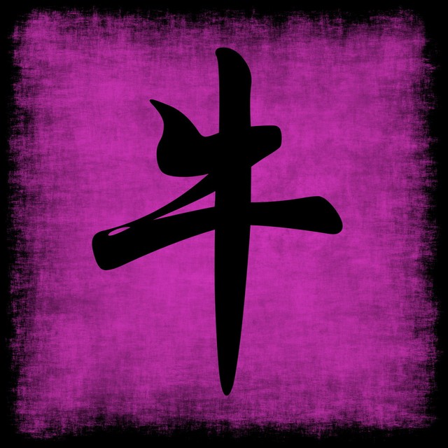 生肖属牛的人是家中之宝,属牛人一生最旺的年龄