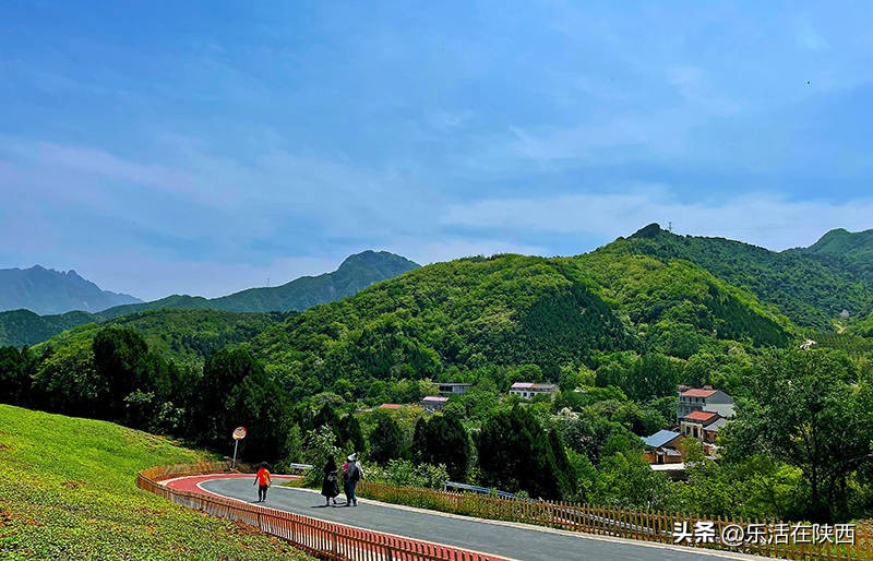 蓝田荞麦花海和高山草甸,西安荞麦花海旅游