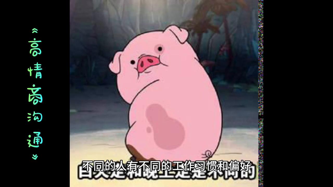 知识分享干货主播,知识类视频