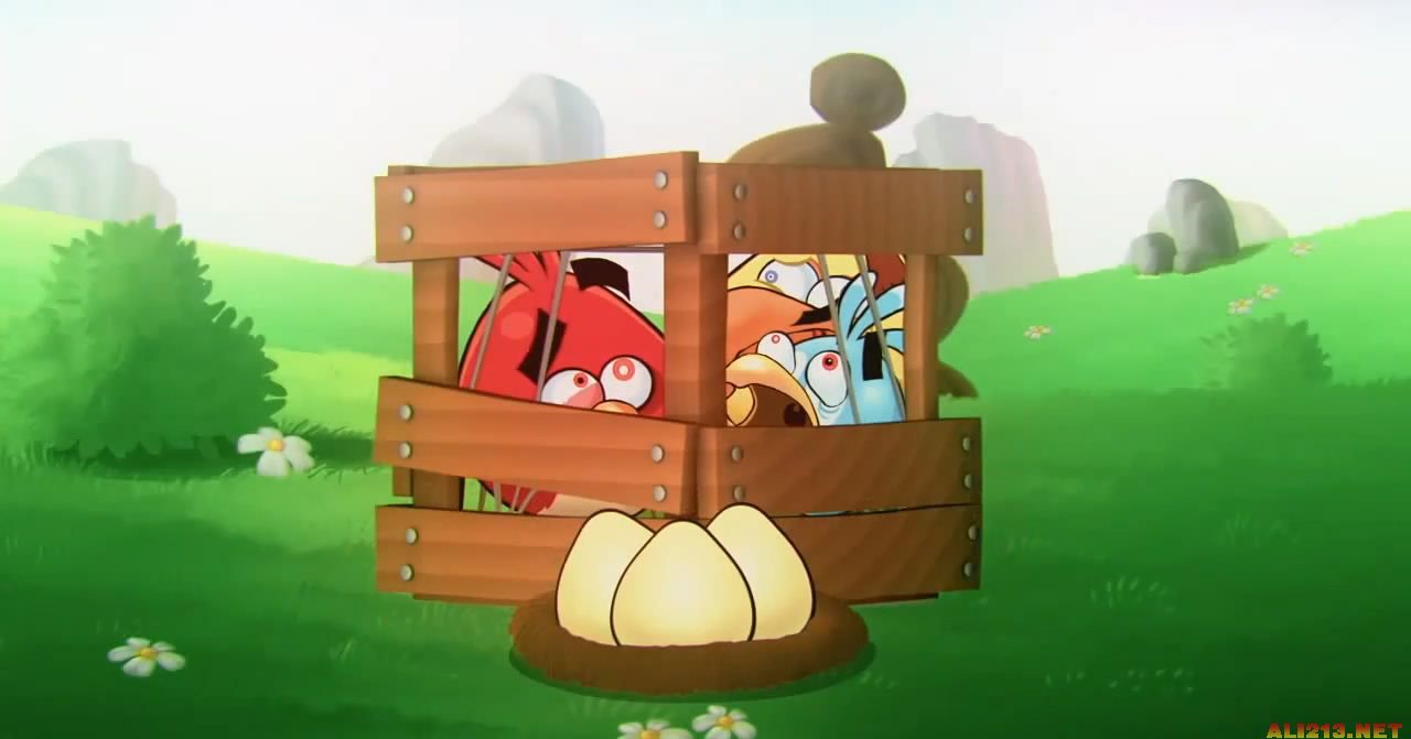 54亿，买过气网红！神操作就为砸个“鸟”