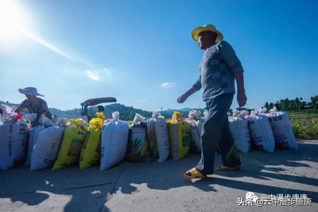 岳池旅游景点大全推荐,行走的美景