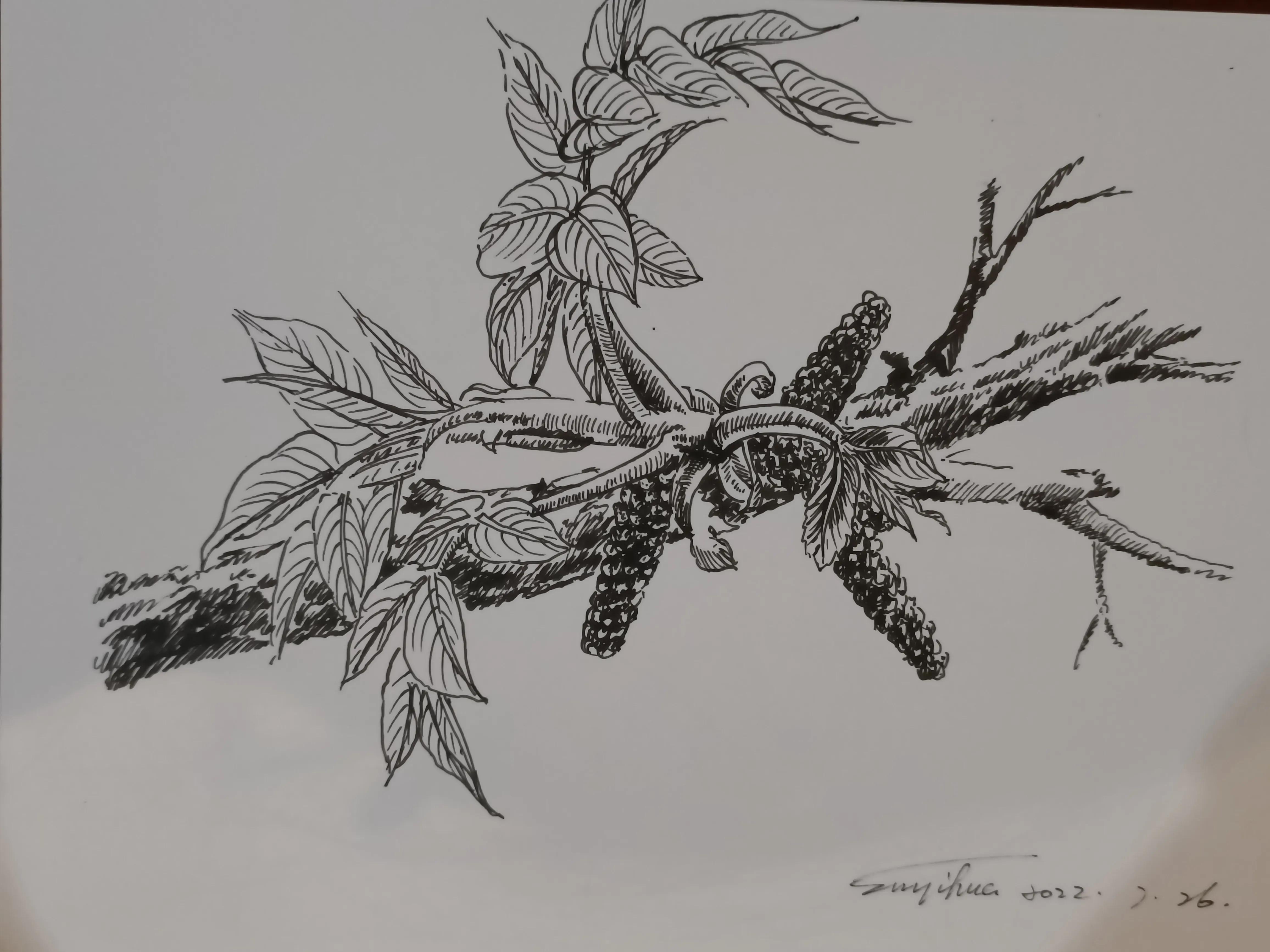 幸福原创画作品,幸福原创画吧画友最新作品分享